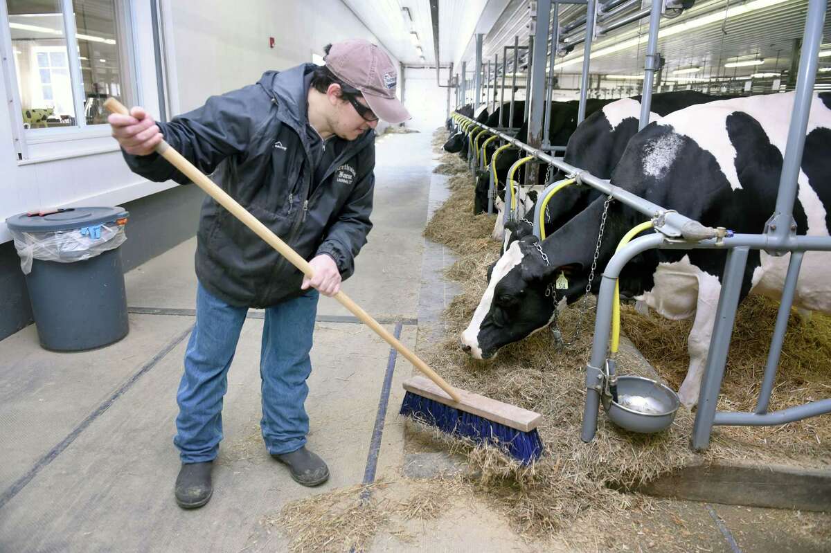 Awardwinning Arethusa Farm Dairy in Litchfield opens first standalone