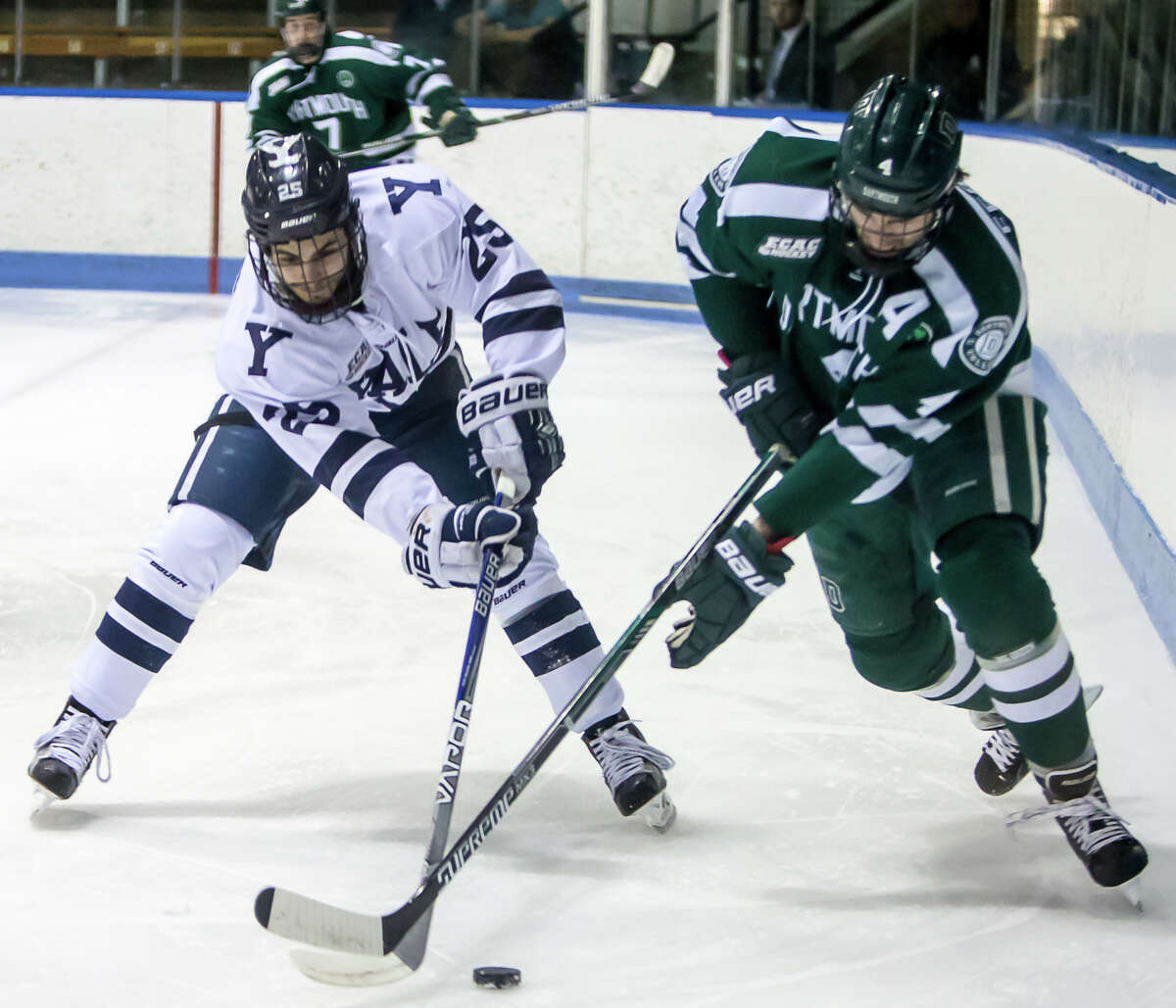 Photos Yale hockey in ECAC Hockey playoff series