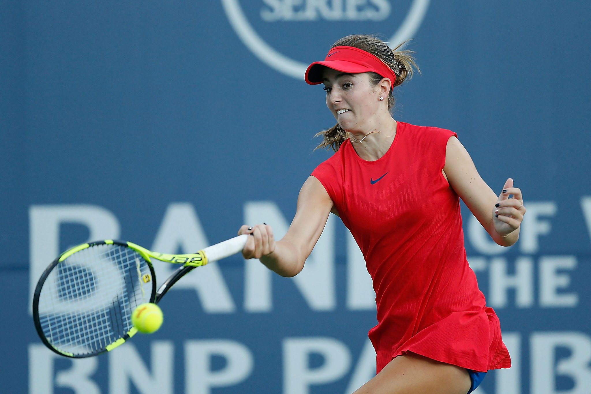 Cici Bellis Cici Bellis