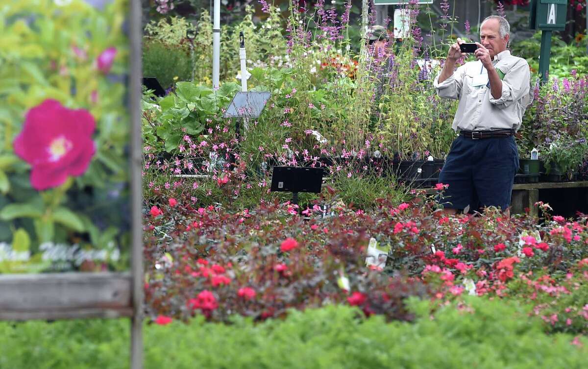 Farms, nurseries at North Branford field day have common goal Green
