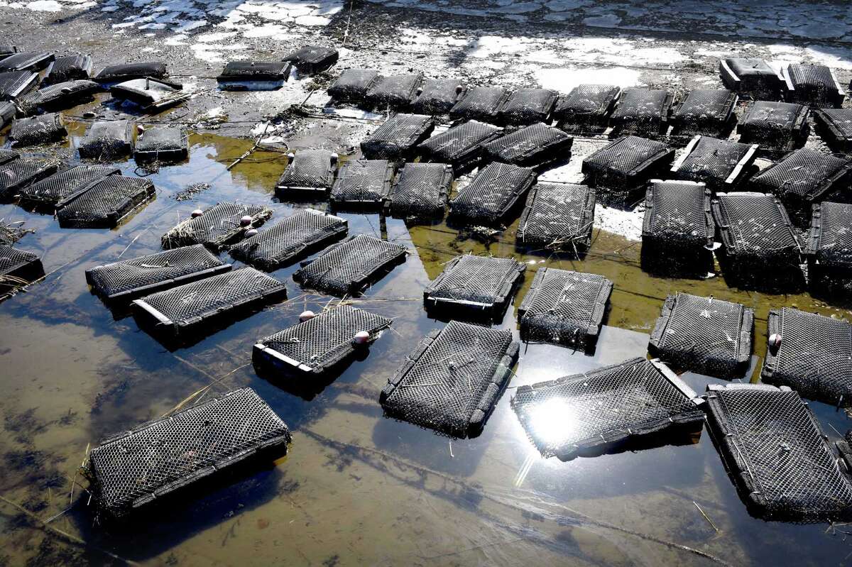 Photos of Branford Lobsterman D.J. King