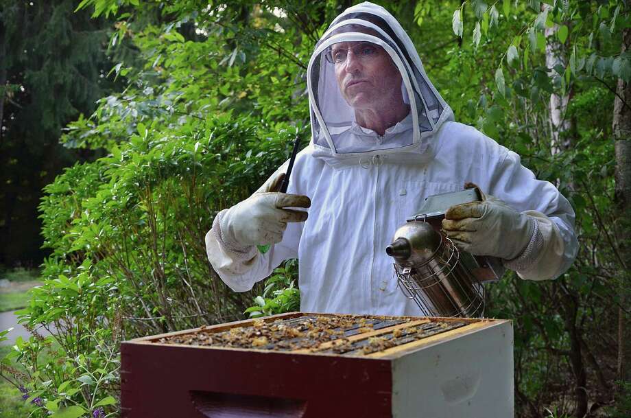 Connecticut beekeepers: Drastically declining bee population can be ...