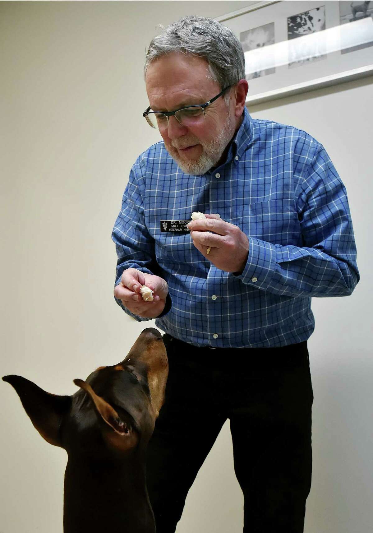 Retired Connecticut veterinarian back in the game with acupuncture