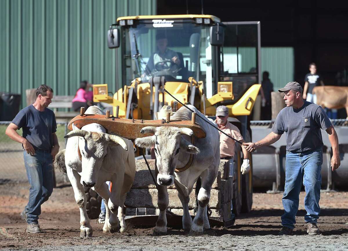 Photos: Durham Fair 2014