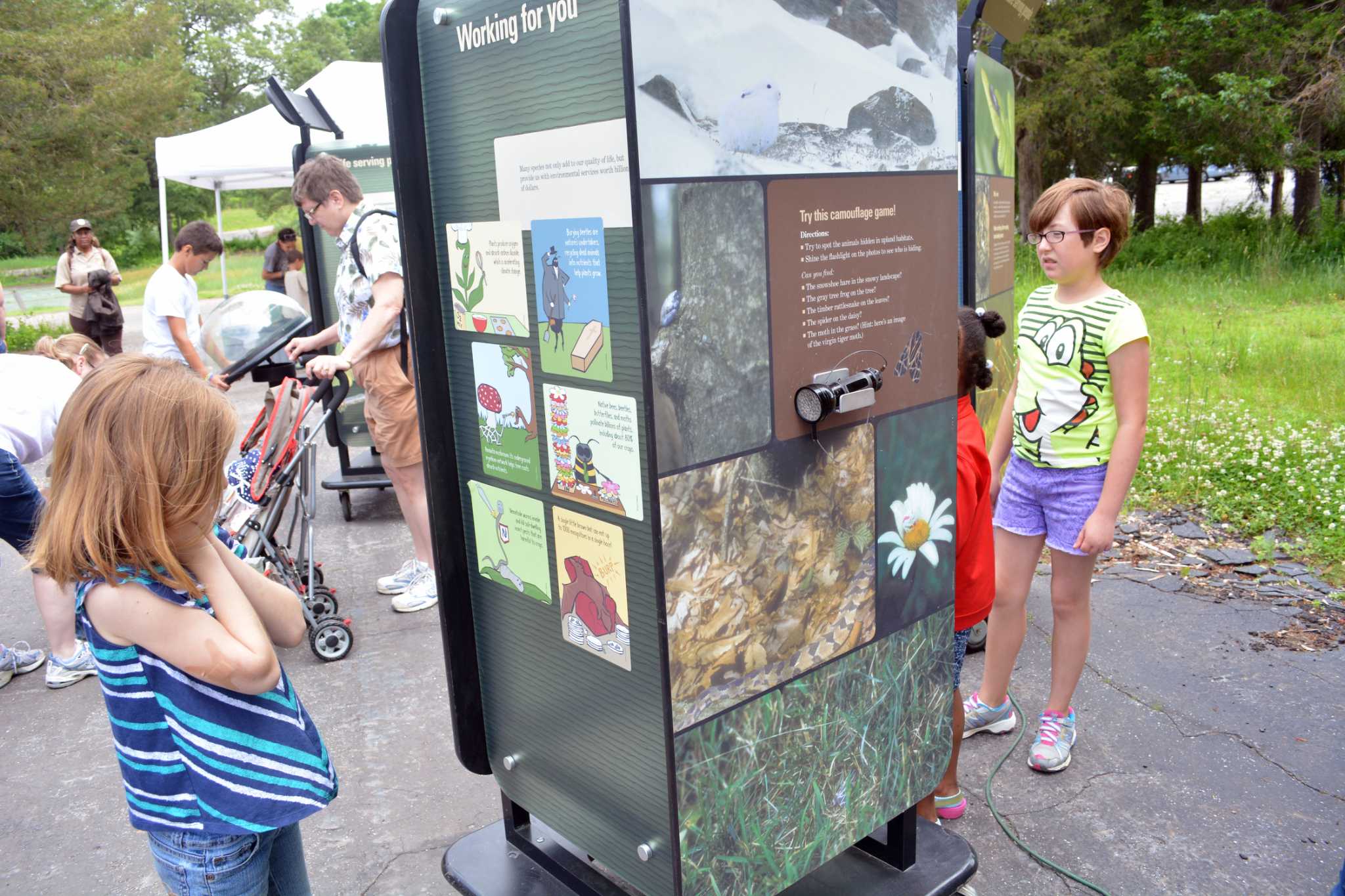 PHOTOS Great Park Pursuit at Sunrise State Park in East Haddam