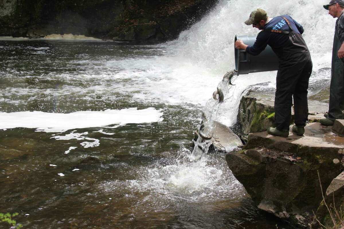 DEEP completes spring trout stocking across Connecticut