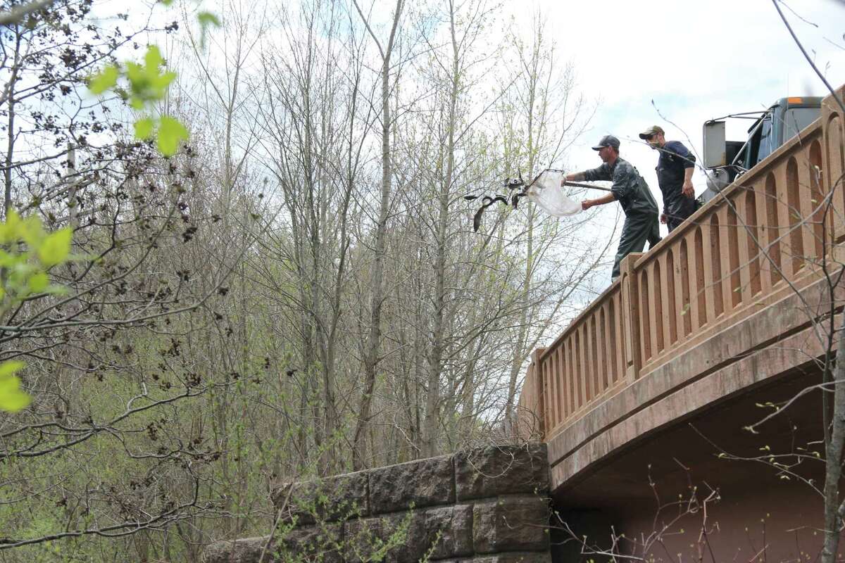 DEEP completes spring trout stocking across Connecticut