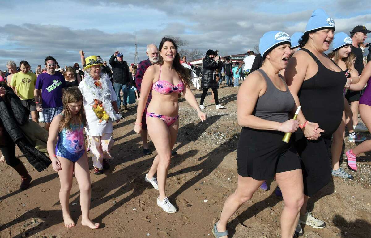 Polar Plunge in New Haven raises money for local parks