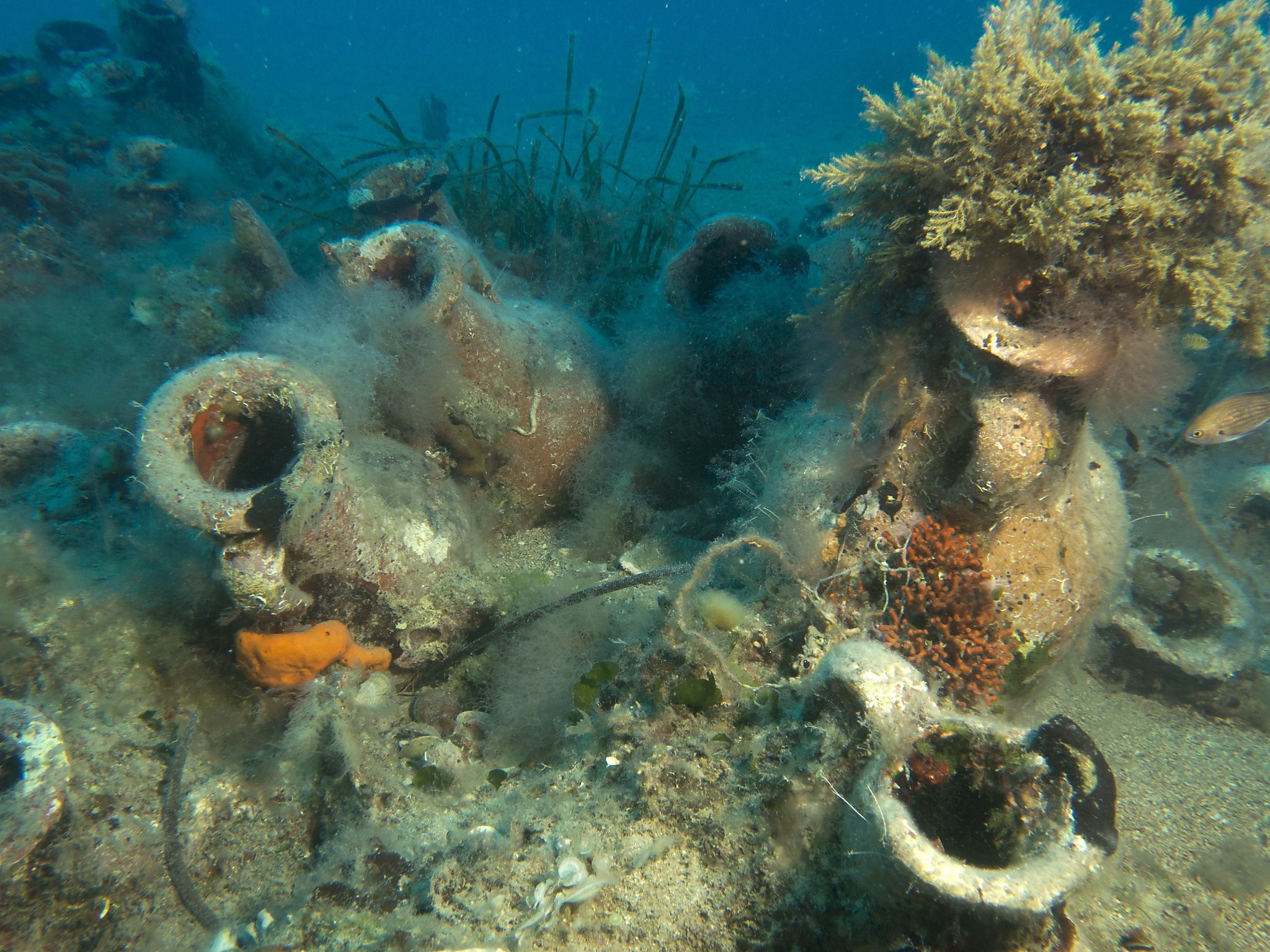 Сокровища со дна моря