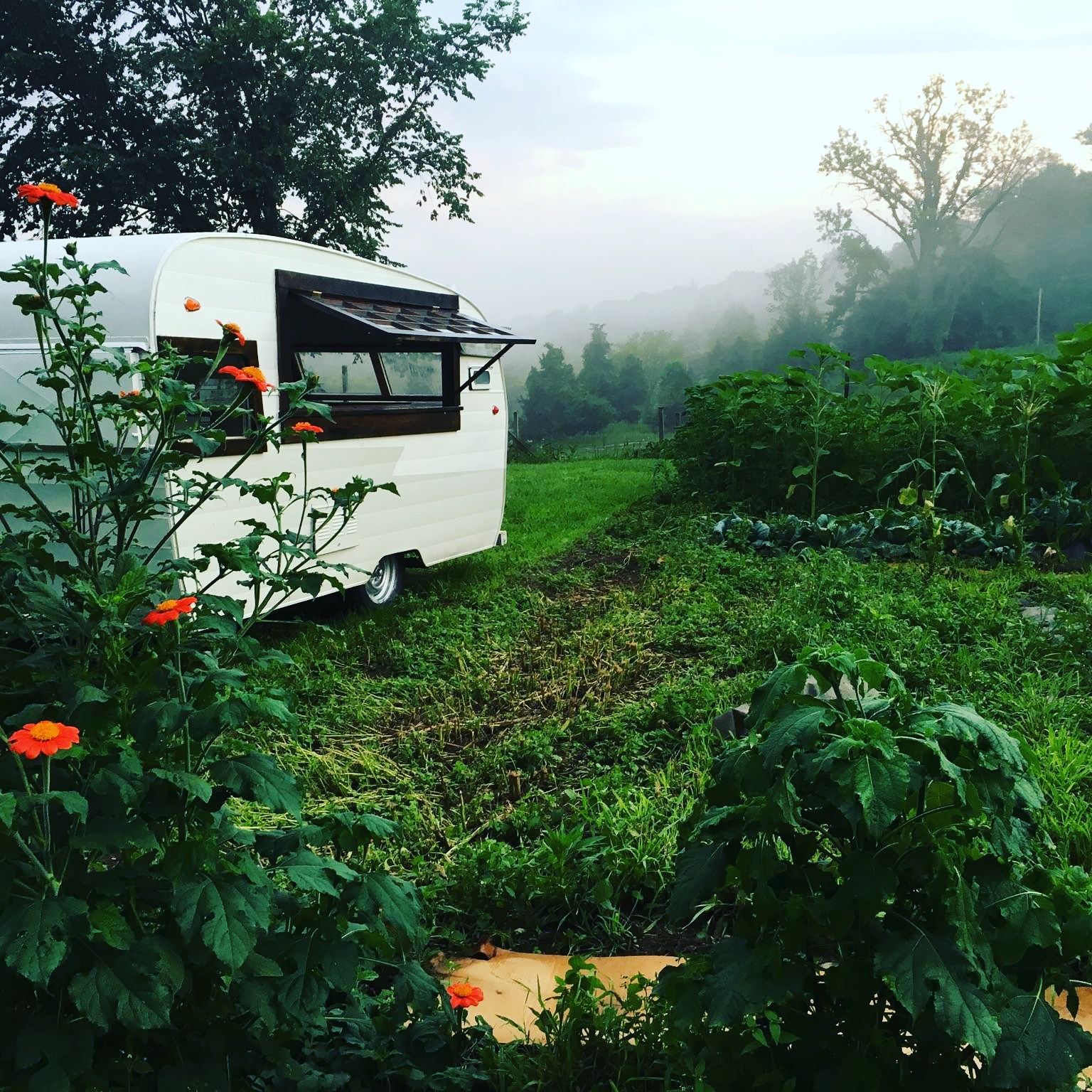 Area's moveable bars are actually converted campers