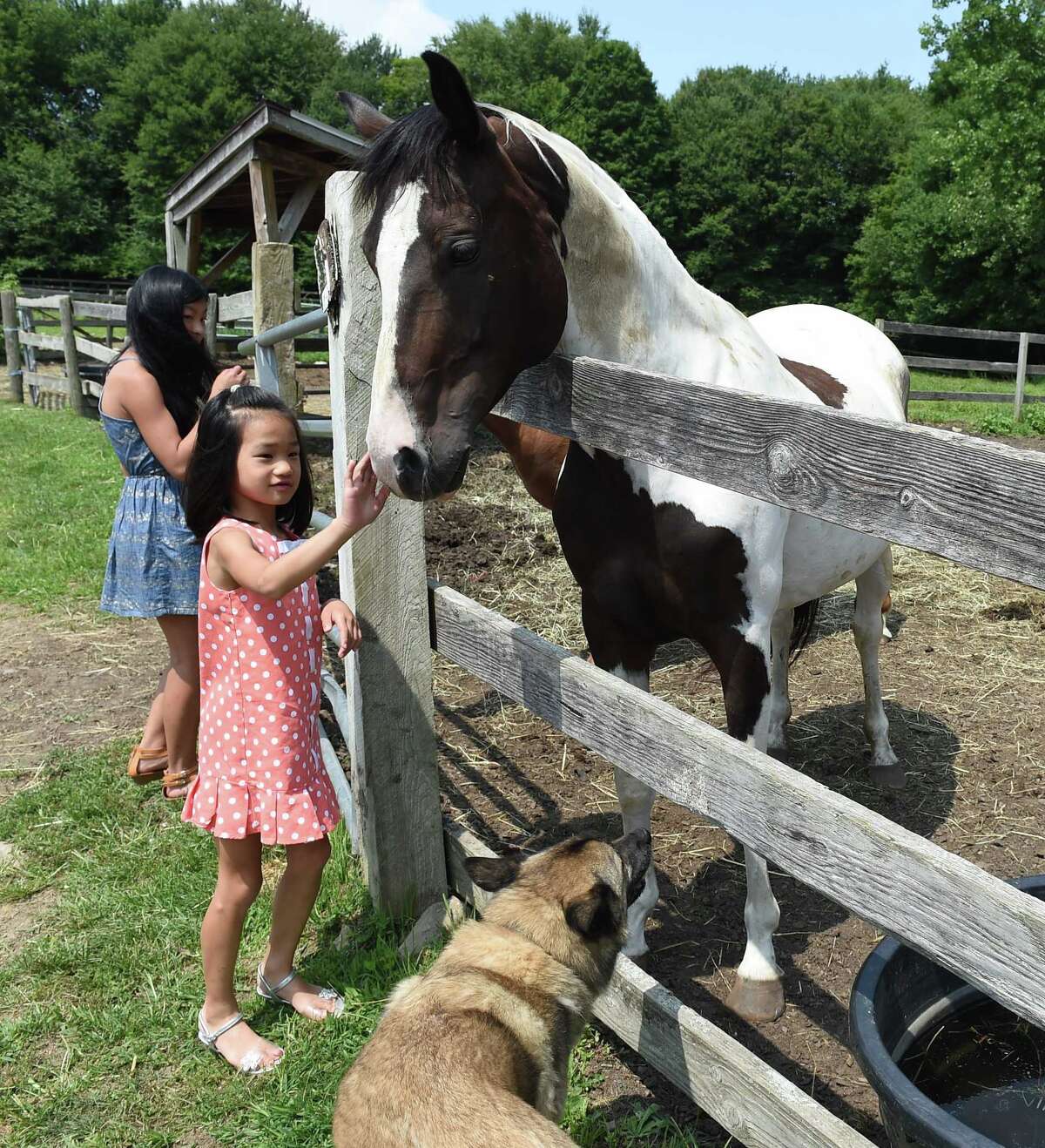 Connecticut governor commemorates law protecting horse owners, handlers