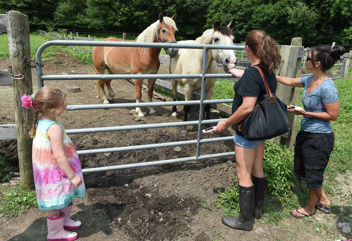 Connecticut governor commemorates law protecting horse owners, handlers