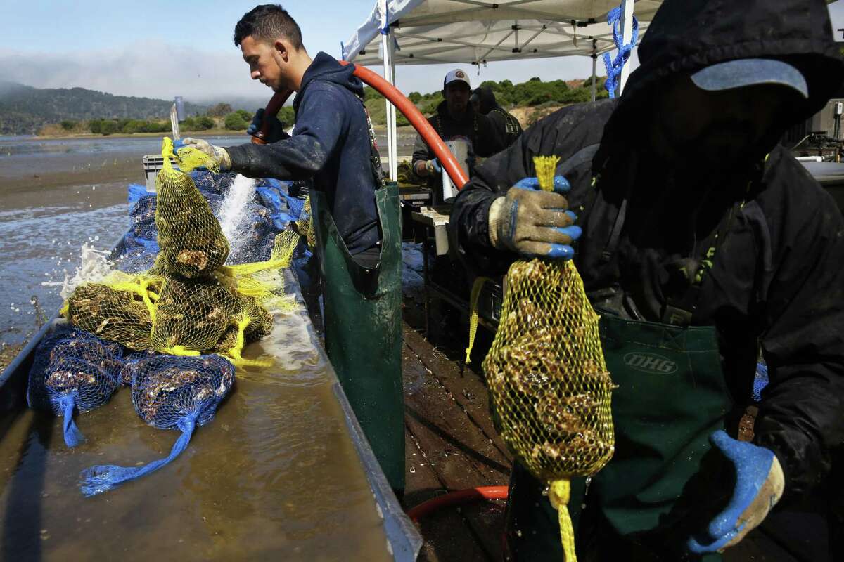 Photos of the Week July 2430, 2017