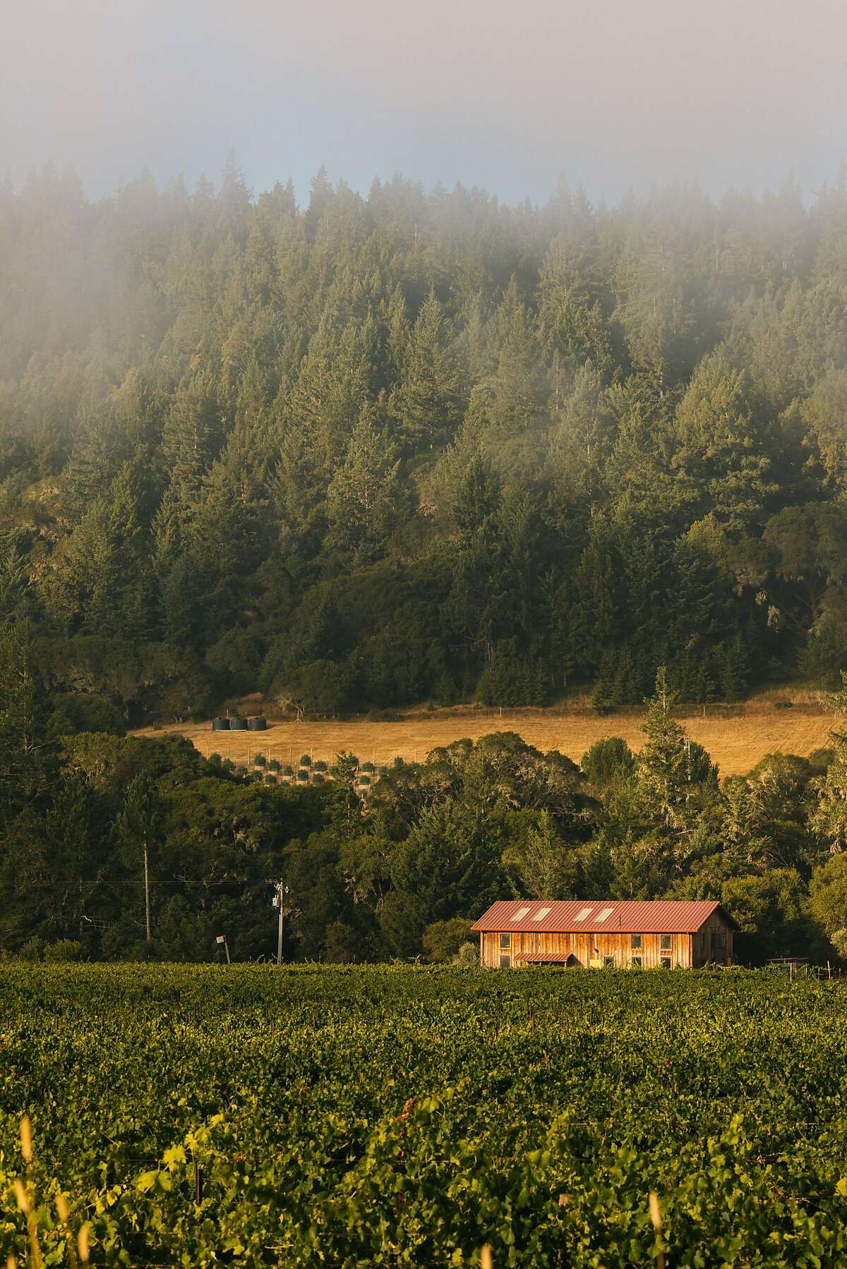 Uncork a perfect weekend in Anderson Valley