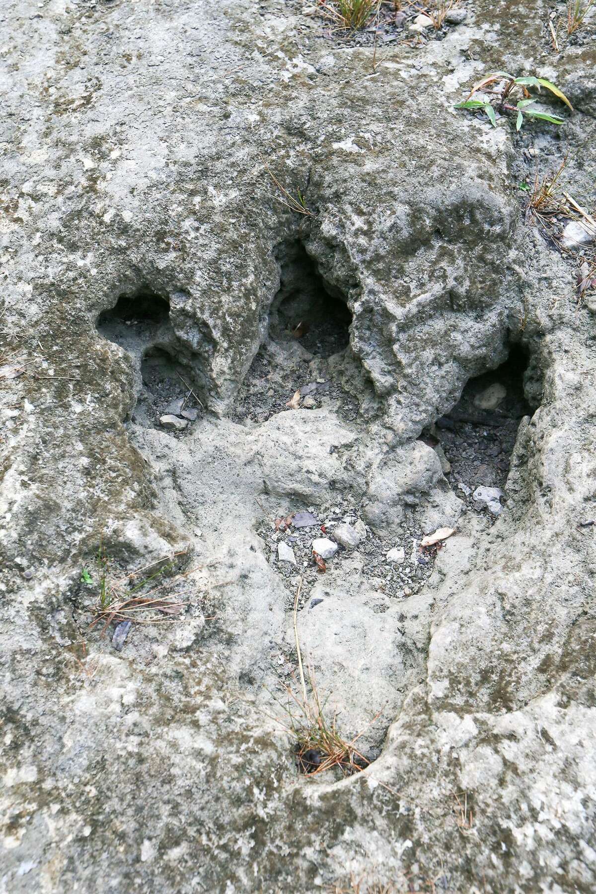 dinosaur tracks red rock canyon