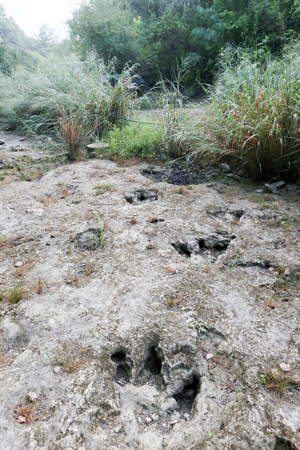 S.A.’s Government Canyon dinosaur tracks ready again for viewing