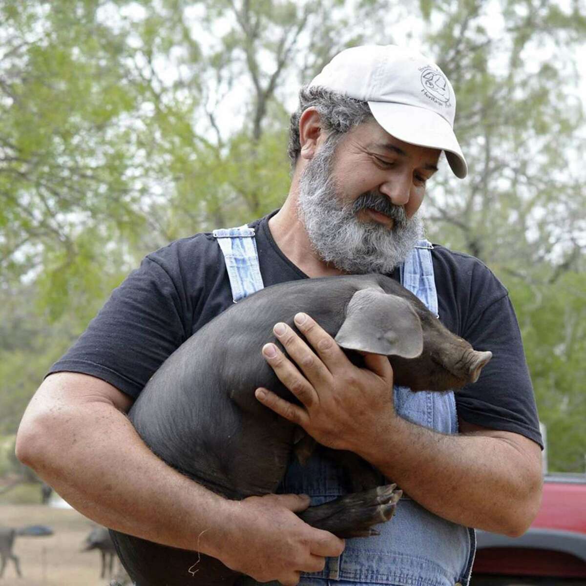 Mark Escobedo holds one of his prized Heritage breed piglets on his South Texas Heritage Pork farm just outside Floresville.