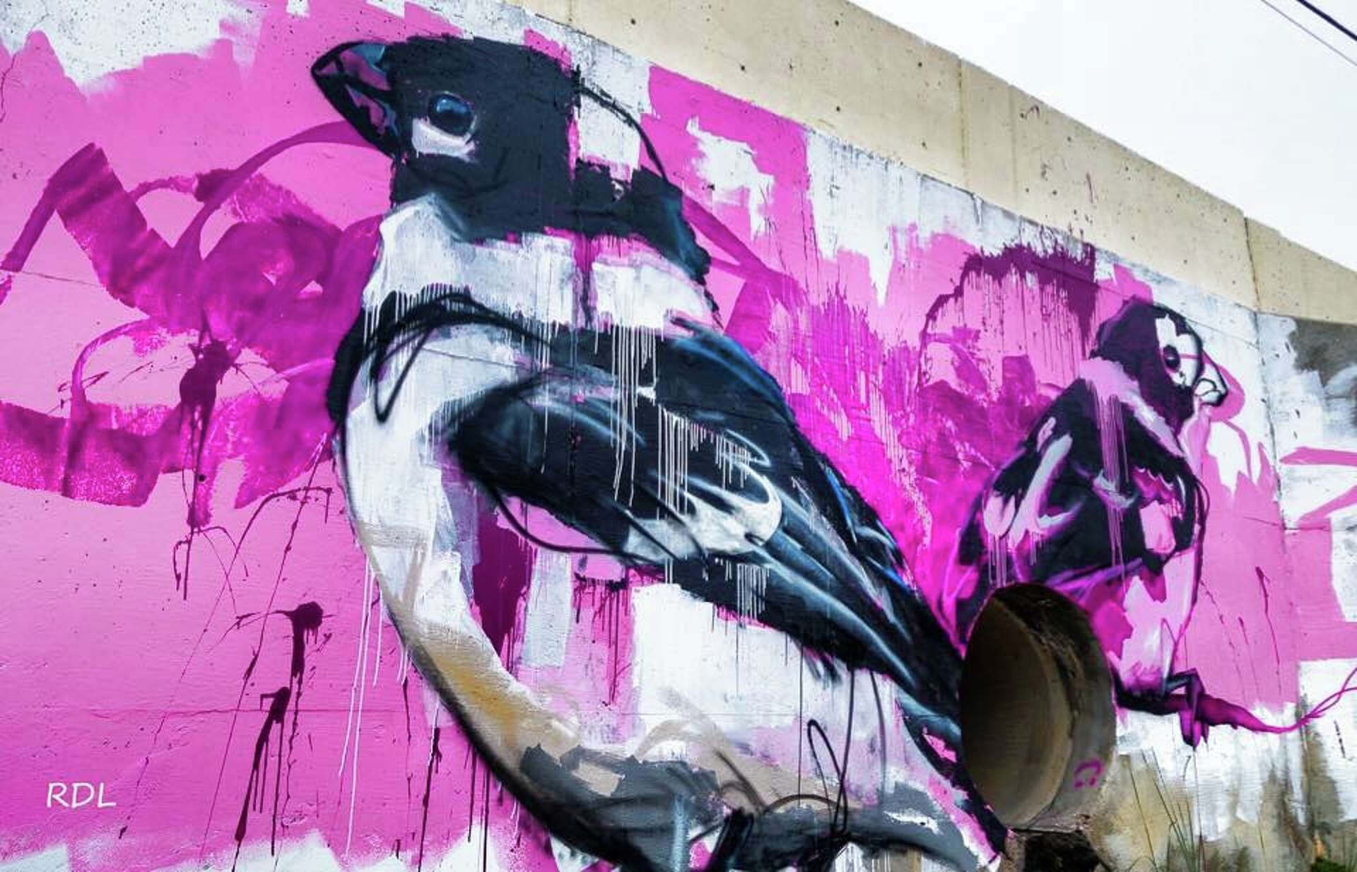 City of Laredo calling on artists for new murals in beautification