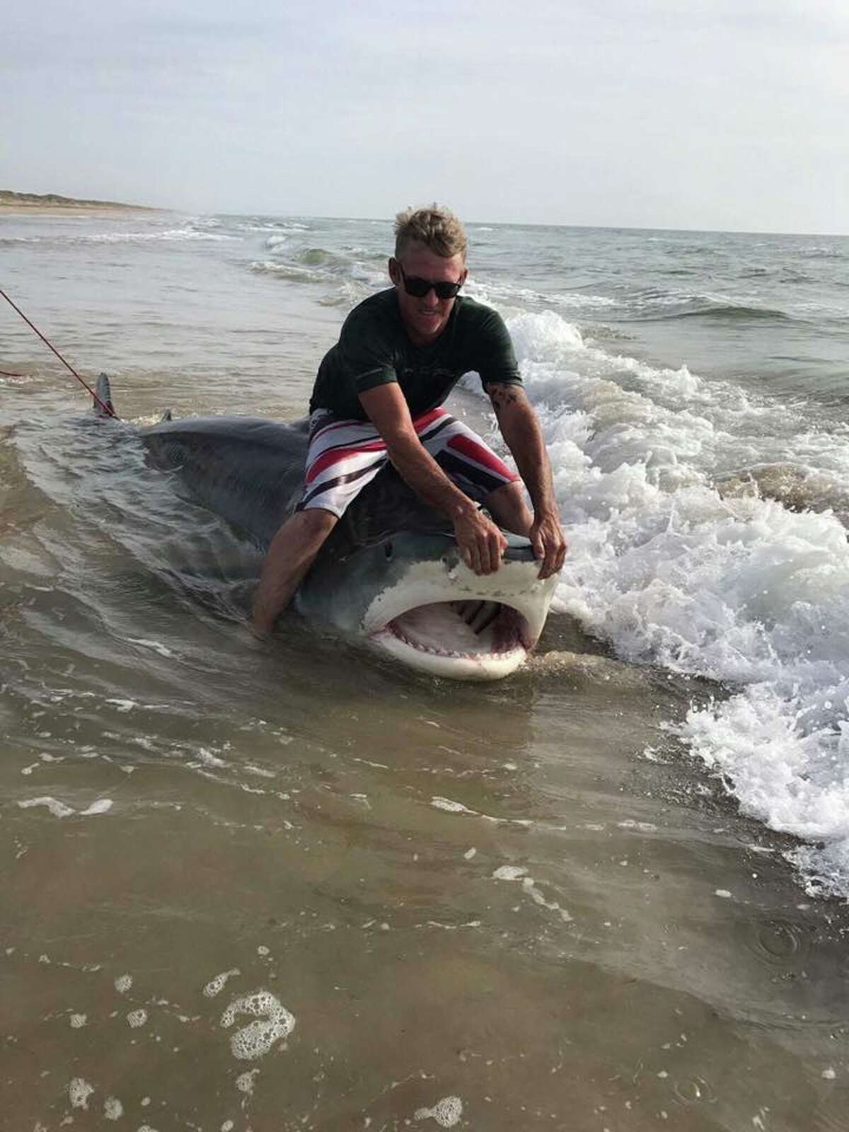 Texas Man Catches 12 Foot Tiger Shark At Padre Island