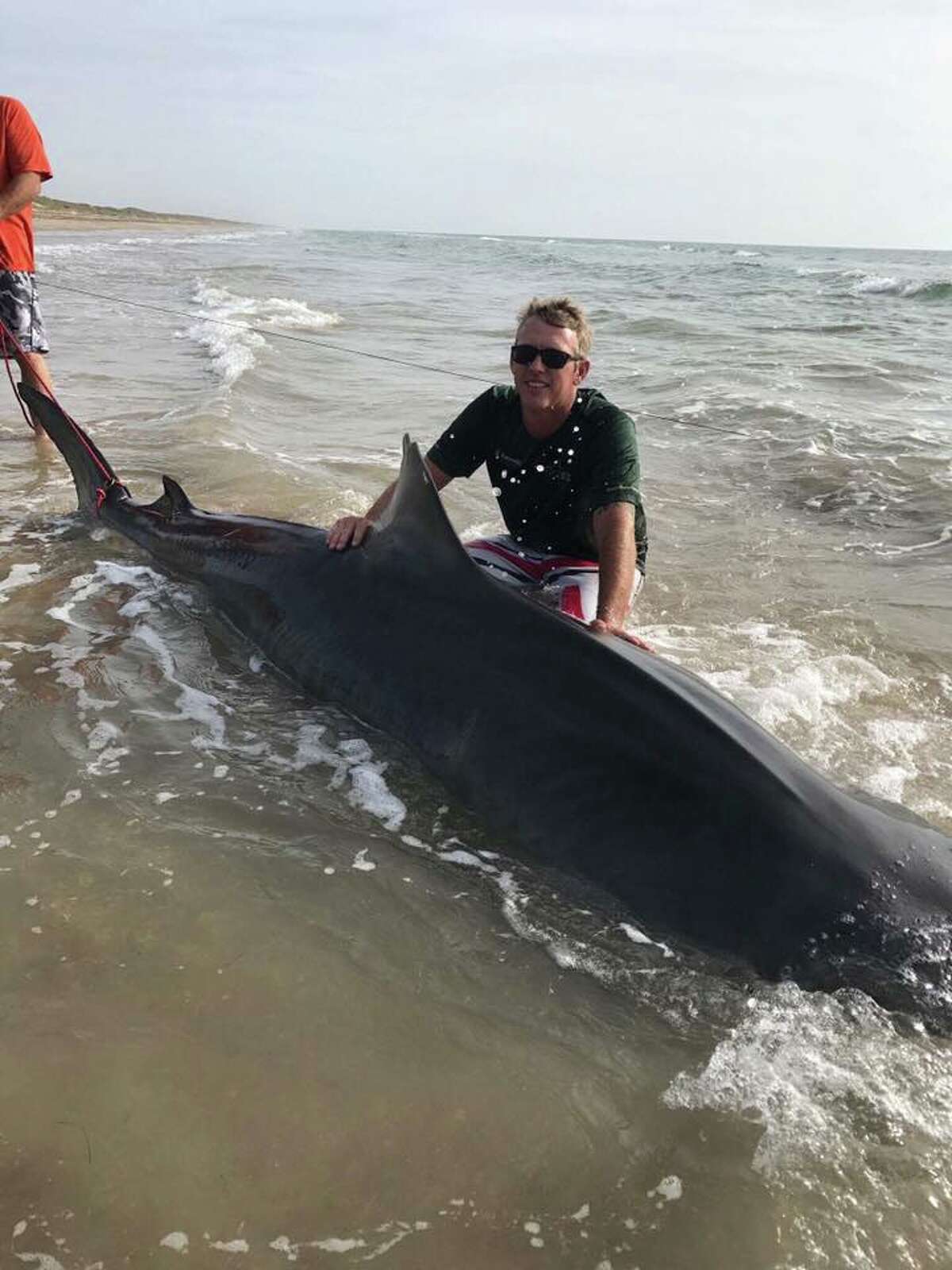 Texas man catches 12foot tiger shark at Padre Island