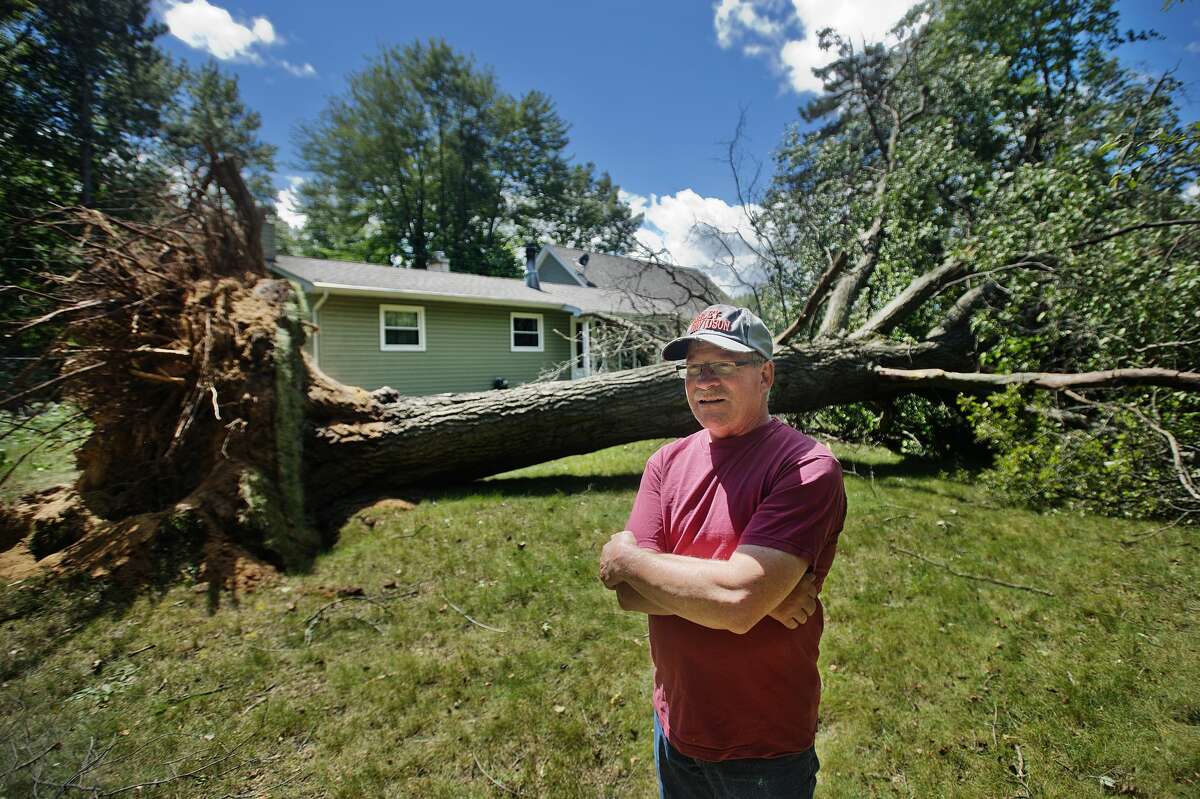 Ed Chase stands in his front yard on E. Price Road near Stark Road in Midland on Friday, August 4, 2017, in front of a large tree that fell after the area was struck by a downburst wind on Thursday evening around 7:30 p.m. (Katy Kildee/kkildee@mdn.net)