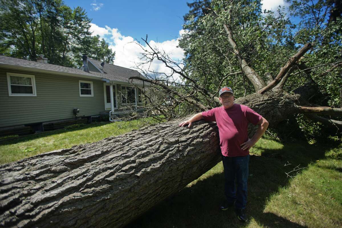 Ed Chase stands in his front yard on E. Price Road near Stark Road in Midland on Friday, August 4, 2017, in front of a large tree that fell after the area was struck by a downburst wind on Thursday evening around 7:30 p.m.