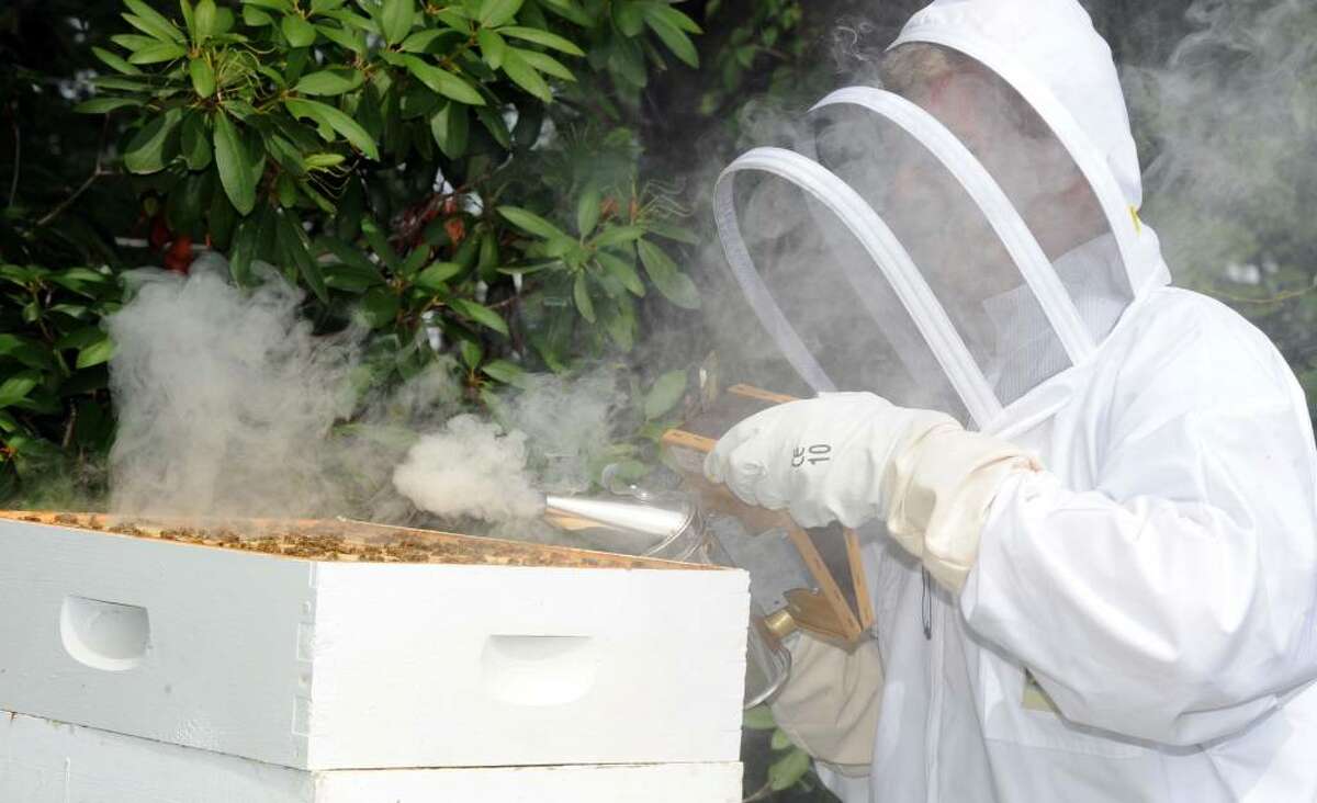 Lee Reelick smokes out bees as apart of the process of harvesting honey at Hollandia Nurseries in Bethel, Wednesday, June 16, 2010.