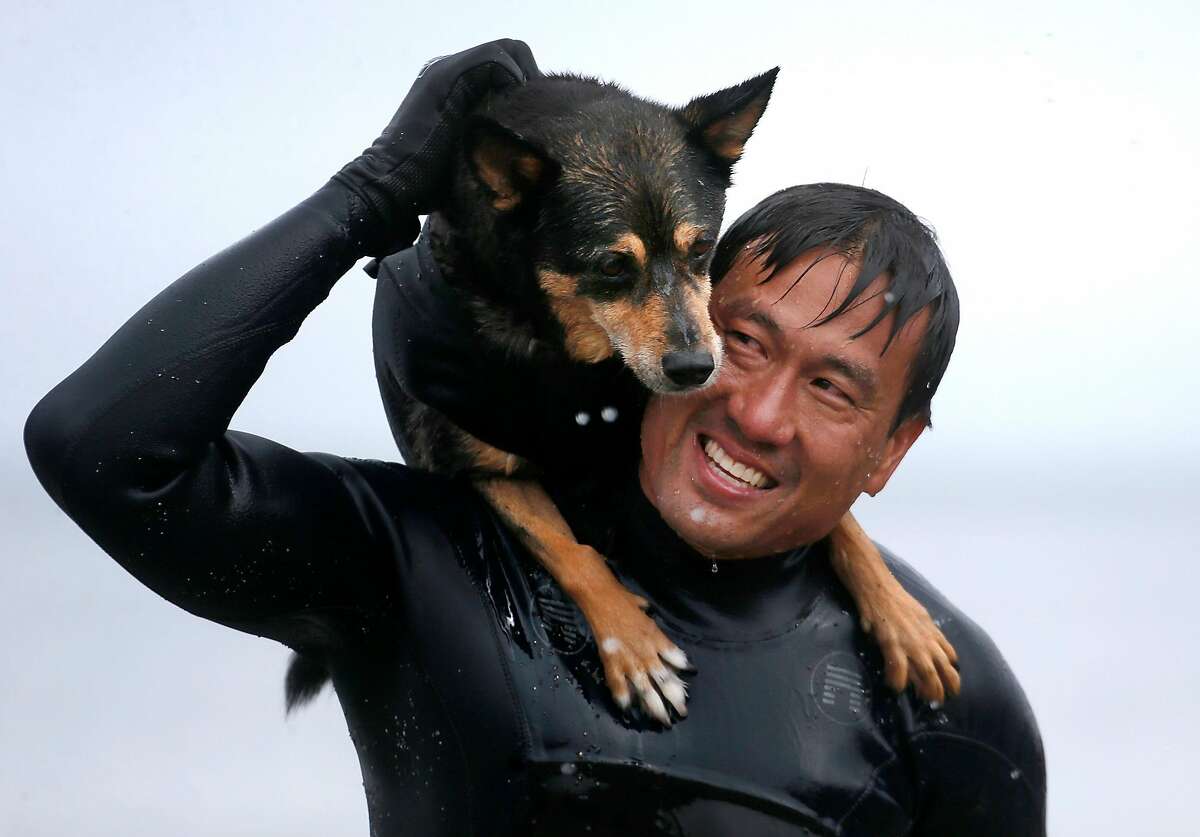Abbie gets a ride on owner Michael Uy's back after competing in the Northern California division of the World Dog Surfing Championships at Linda Mar Beach in Pacifica, Calif. on Saturday, Aug. 5, 2017.