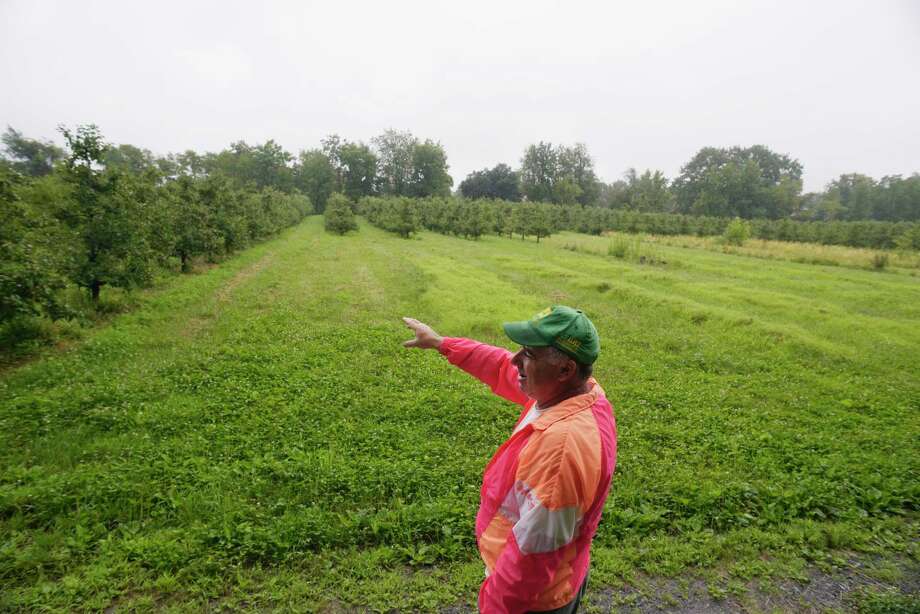 Jeremy Knight, owner of Knight Orchards, stands in an area of his orchard on Tuesday, July 25, 2017, in Ballston, N.Y.  Knight, whose family has fought water extensions on Goode Street for more than a decade, points out an area where he believes development has shifted the water table. (Paul Buckowski / Times Union) Photo: PAUL BUCKOWSKI / 20041093A