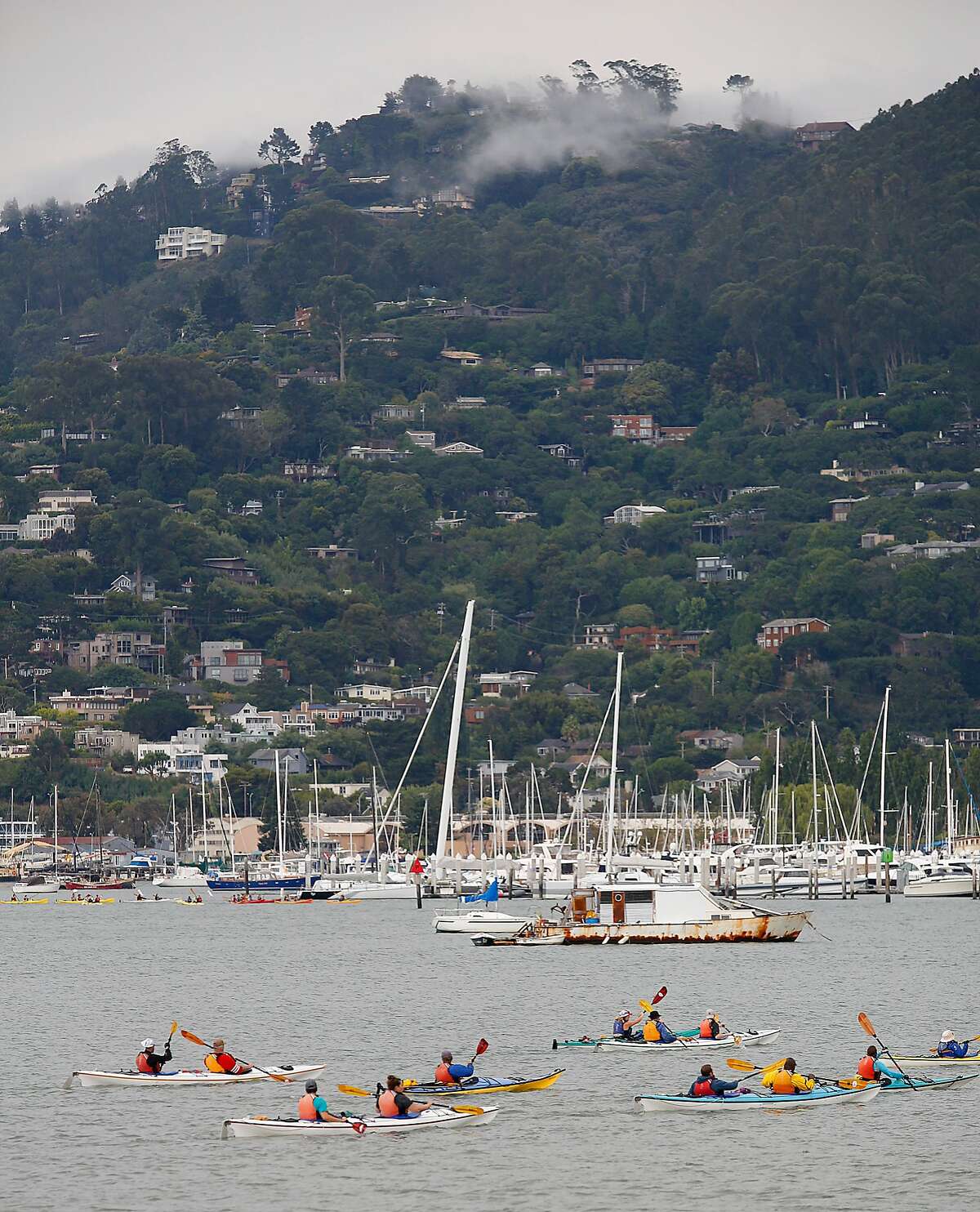 Fog on the Marin hills as kayakers maneuver the bay on Friday, August 4, 2017, in Tiburon, Calif.
