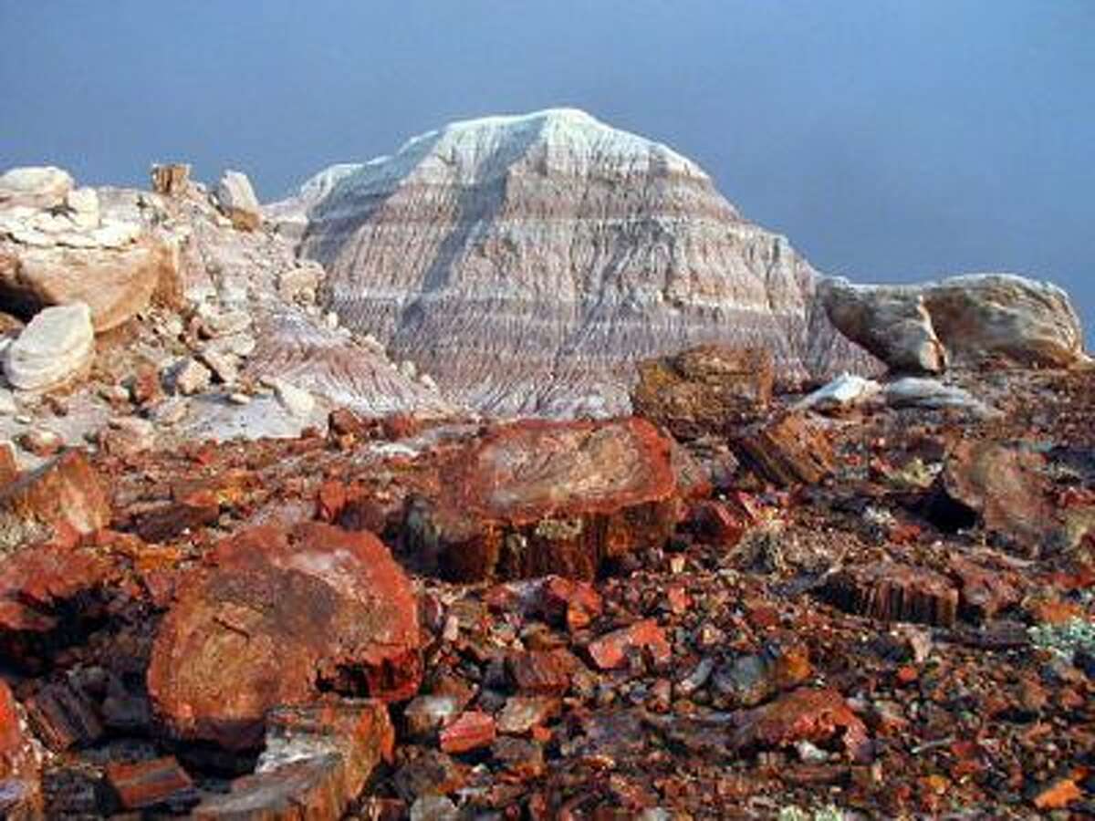 There are hundreds of pieces of petrified logs along the 30-mile drive through the Petrified Forest in Arizona. This phenomenon was created thousands of years ago when the forest became shrouded in ash from volcanoes nearby.