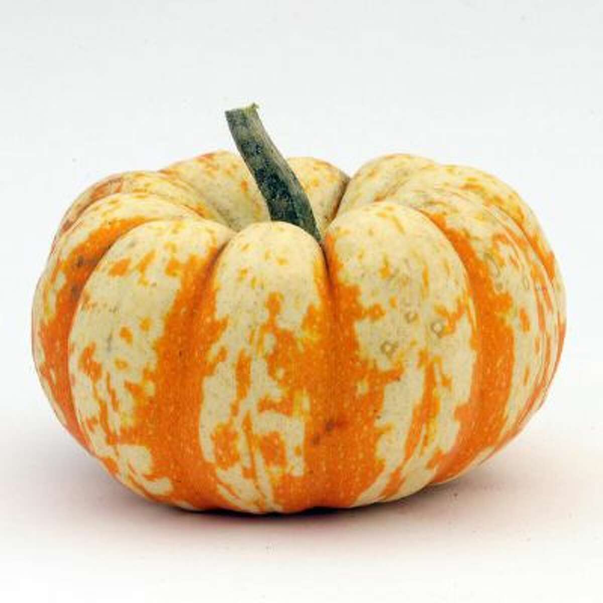 Lil' Pumpkemon pumpkin.