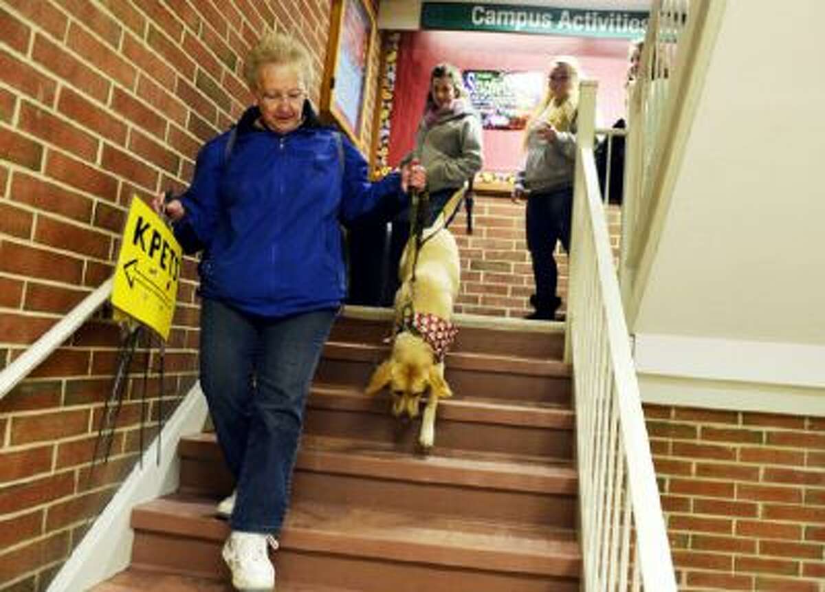 Keystone Pet-Enhanced Therapy Services handler Harriet Hombach leads her Labrador retriever Corky to a lower-level room in York College's student union where students could pet therapy dogs on Wednesday in York, Penn.