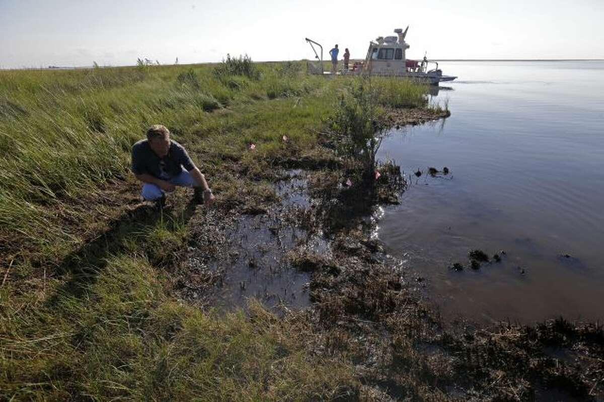 PJ Hahn, Coastal Zone Manager for Plaquemines Parish, examines oil along the shoreline of Bay Jimmy, which was heavily impacted by the Deepwater Horizon oil spill, in Plaquemines Parish, La., Friday, Sept. 27, 2013. The methods that BP employed during its 86-day struggle to stop oil gushing into the Gulf of Mexico will be the focus of a trial resuming Monday, Sept. 30, 2013 in New Orleans, in the high-stakes litigation spawned by the worst offshore spill in the United States. (AP...