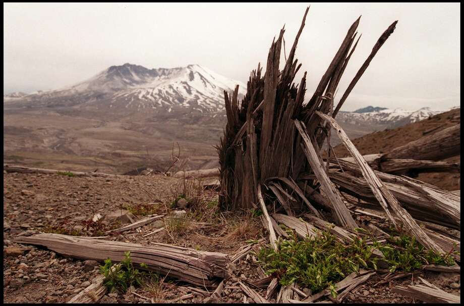 Of all Cascade volcanoes, Mount Rainier is the most dangerous