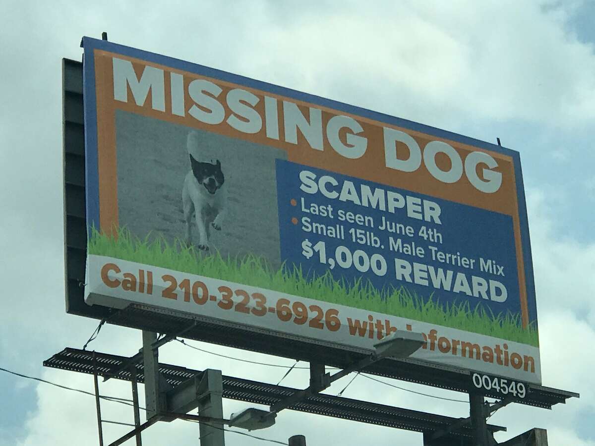 A billboard for an Olmos Park family's missing dog Scamper located at the intersection of McCoullough Avenue and East Ashby Place.
