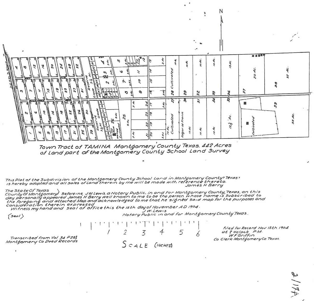 The town tract for the town of Tamina. This rendering was filed with the county in November 1904.