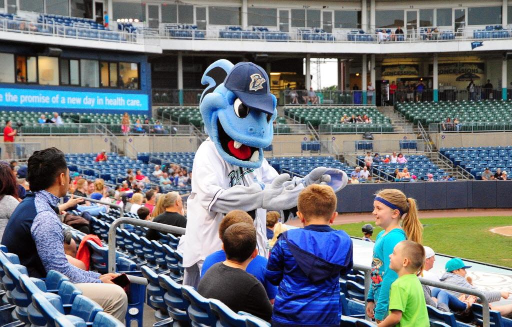 City Of Bridgeport Embracing Entertainment, Dumping Bluefish Baseball