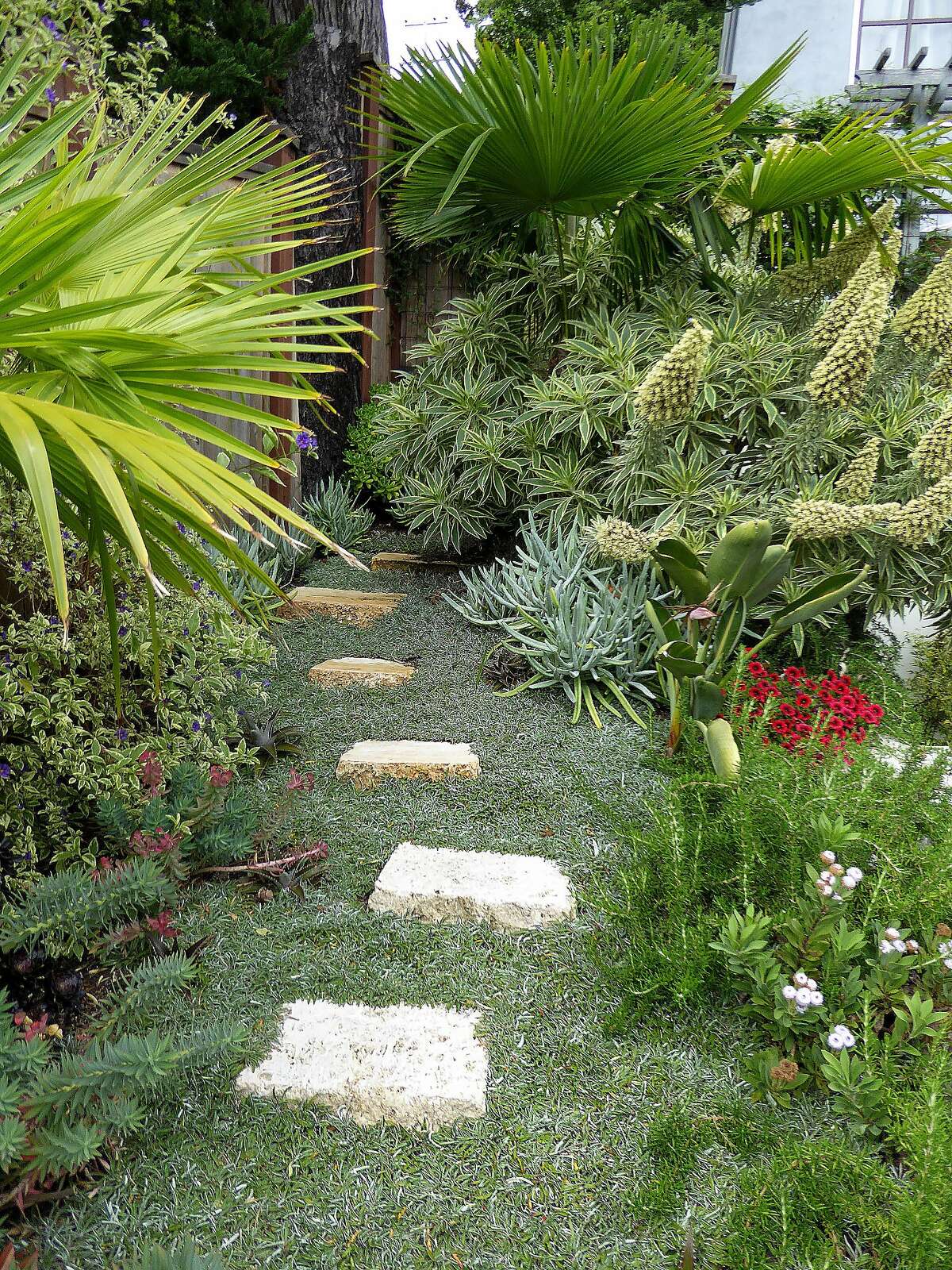 Make a memorable pathway with paving stones and plants