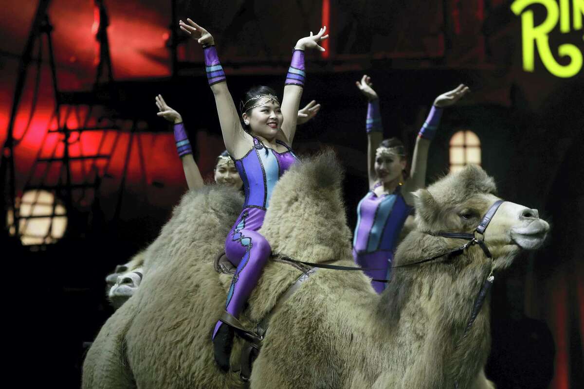 Ringling Bros. and Barnum & Bailey acrobats ride camels during a performance Jan. 14, 2017 in Orlando, Fla. The Ringling Bros. and Barnum & Bailey Circus will end the “The Greatest Show on Earth” in May, following a 146-year run of performances. Kenneth Feld, the chairman and CEO of Feld Entertainment, which owns the circus, told The Associated Press, declining attendance combined with high operating costs are among the reasons for closing.