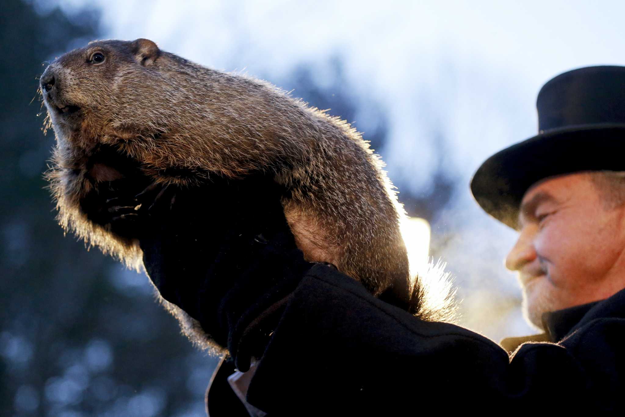 Groundhog Day in Connecticut: Chuckles XI to make first weather ...