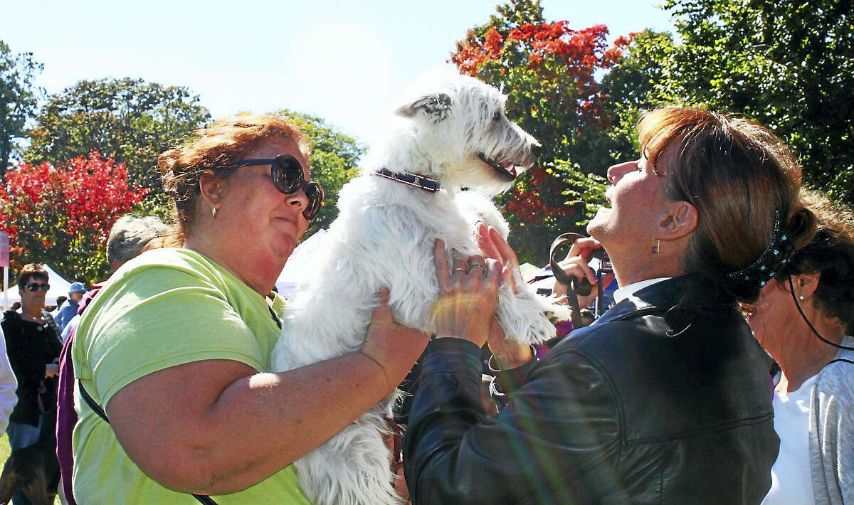 Rev. Sharon Gracen, right, rector of Branford’s Trinity Episcopal Church, gives her blessing to this pooch at a previous Animal Awareness Day.