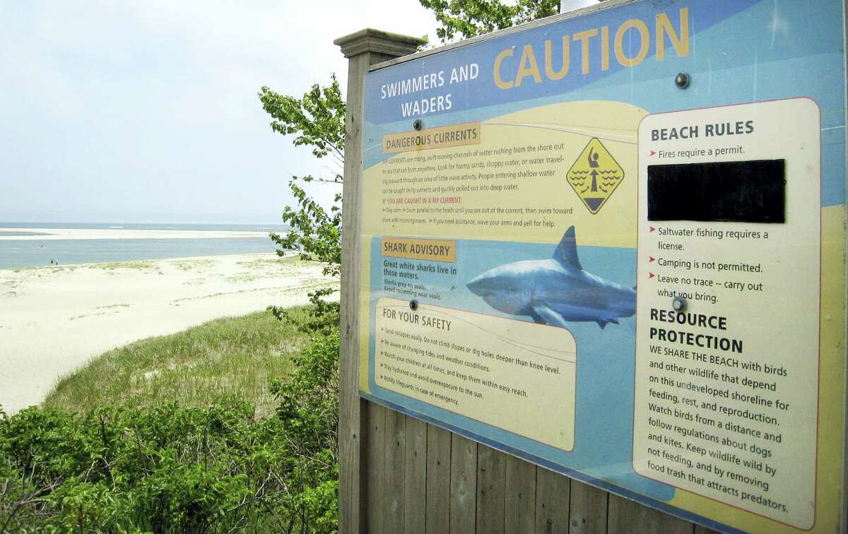 AP Photo/Philip Marcelo In this Wednesday, May 25, 2016, photo, a sign at Chatham Lighthouse Beach beach warns of dangerous currents and sharks in Chatham, Mass. Additional Cape Cod towns have installed the signs this year. Officials and researchers from Cape Cod to the Carolinas are looking at responses ranging from the high-tech to the decidedly low-tech as they deal with a growing great white shark population.