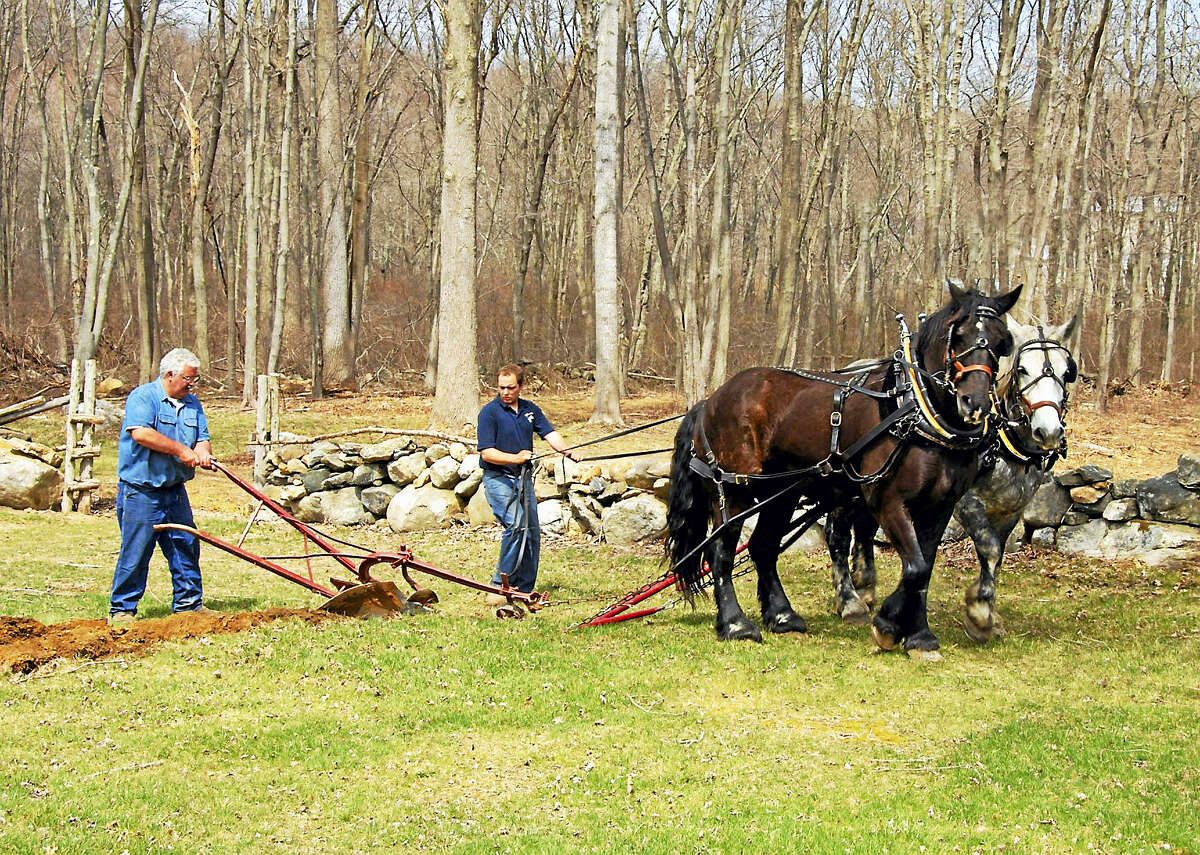 Photo by Jody Dole Plowing with a team of horses is one of the events of Bushnell Farm on Saturday, May 28. Visitors can experience a Valley-Shore farm preparing for the Revolutionary War in 1776. The event is free with on-site parking.