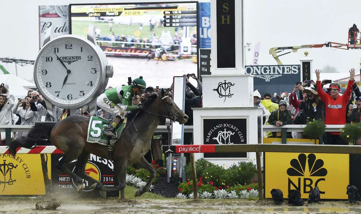 Exaggerator, with Kent Desormeaux aboard, won the Preakness Stakes at Pimlico Race Course on Saturday in Baltimore.