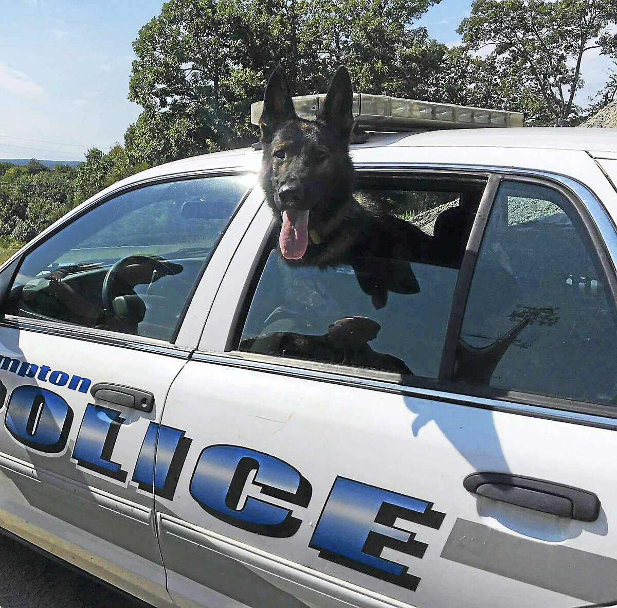 East Hampton Police Department’s newest officer is canine Ringer, who’s making his way through an intense, 16-week training at the Connecticut Police Academy.