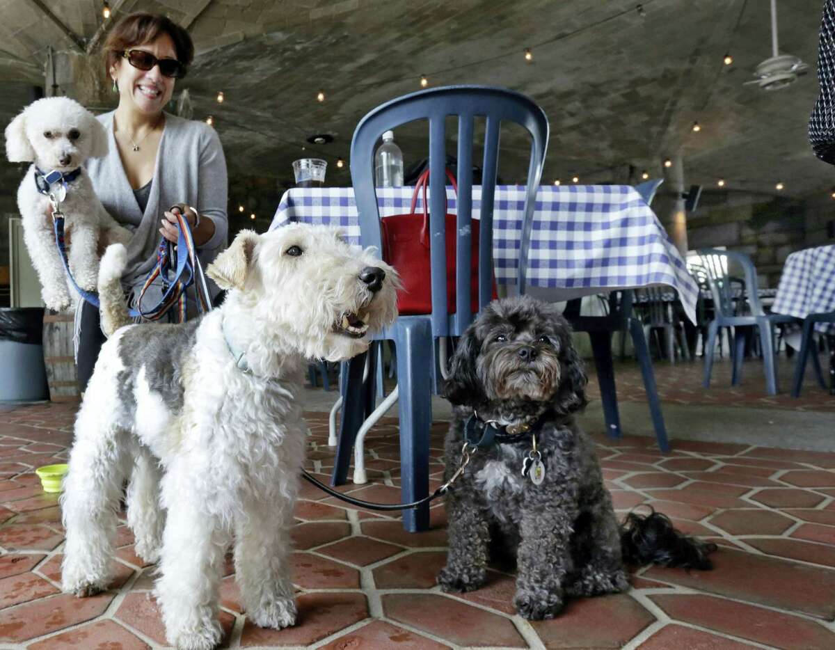 In this May 19, 2015, file photo, Michelle Vargas, with, from left, 8-year-old Bichon Frise-Poodle mix “Carmine,” 11-year-old Wire Haired Terrier “Lucy,” and 10-year-old Shih Tzu-Poodle mix “Luigi,” visit a cafe in a Manhattan park, on New York’s Upper West Side. New York City restaurants with outdoor tables will soon be able to welcome four-legged guests under new rules announced by the city Health Department.The regulations announced Tuesday March 15, 2016, will permit dogs that are licensed and vaccinated against rabies to join their human chowhounds at participating restaurants.