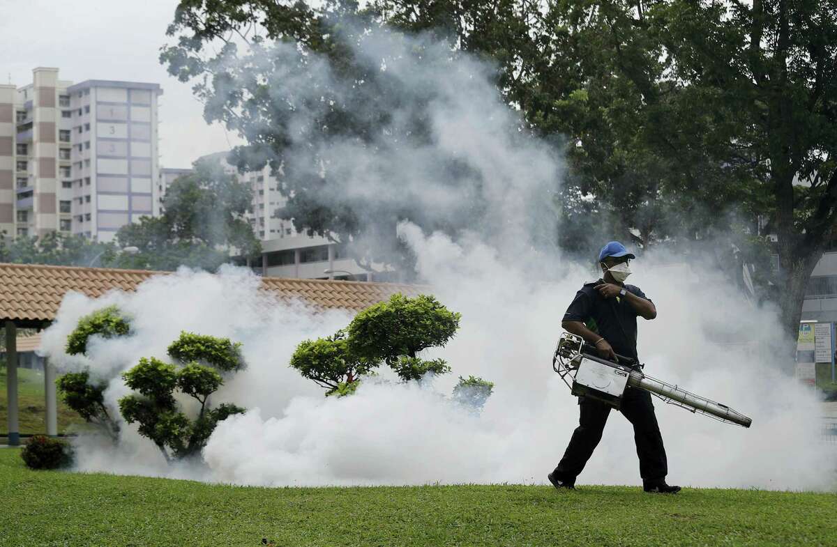 A pest control worker fumigates drains and the gardens at a local housing estate where the latest case of Zika infections were reported from in Singapore.