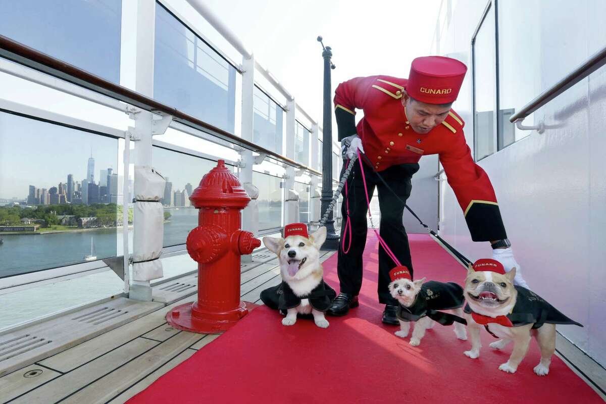 Kennel Master Oliver Cruz tends to celebrity dogs, from left, Wally, Ella and Chloe outside the kennel aboard the ocean liner Queen Mary 2, docked at her homeport at the Brooklyn Cruise Terminal in New York. The Cunard ship underwent $132-million of renovations that includes, for its four-legged passengers, additional kennels, more play space and an owner’s lounge.