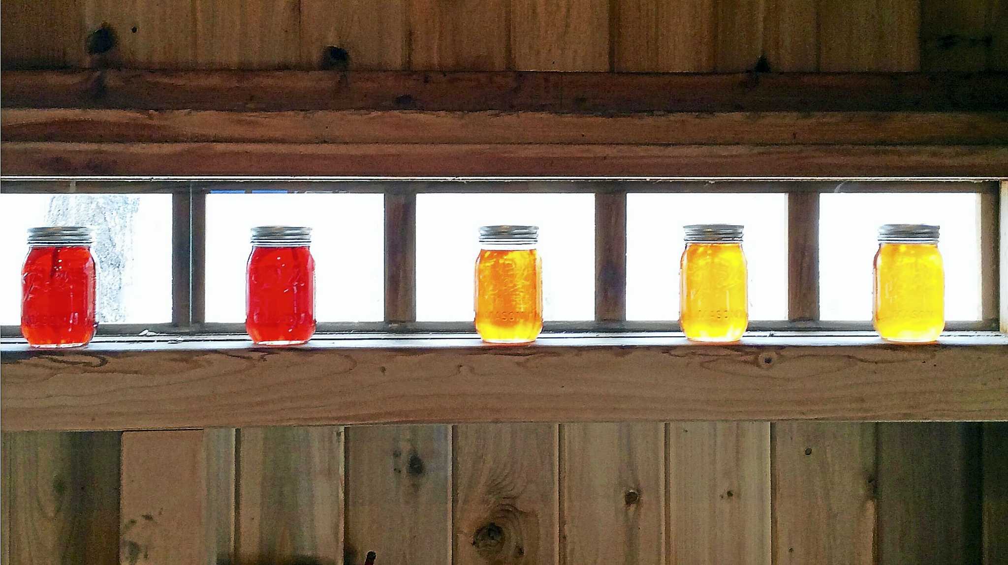 Durham family farm’s maple sugaring taps flowing like ‘gangbusters’